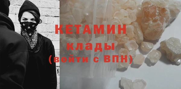 хмурый Аркадак