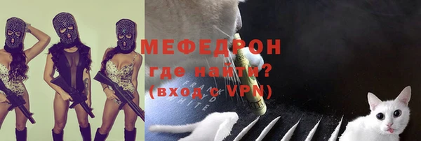 хмурый Аркадак