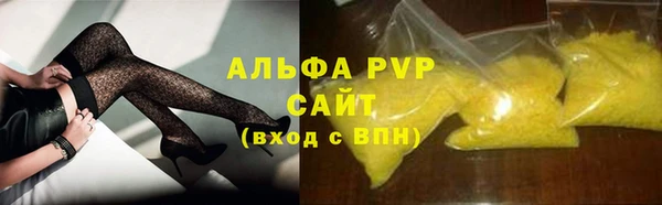 хмурый Аркадак
