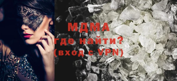 хмурый Аркадак