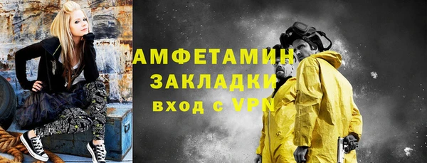 хмурый Аркадак