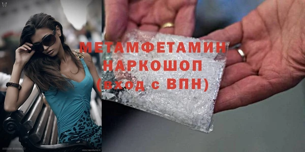 хмурый Аркадак