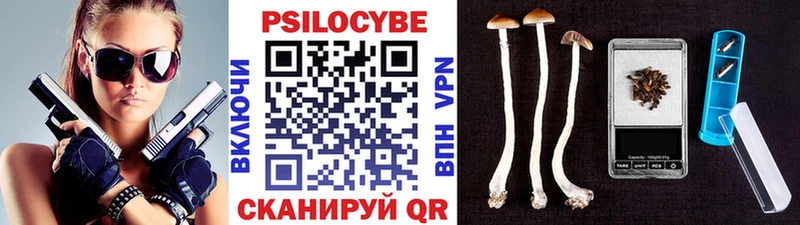 Галлюциногенные грибы GOLDEN TEACHER наркотики hydra ССЫЛКА Новомосковск