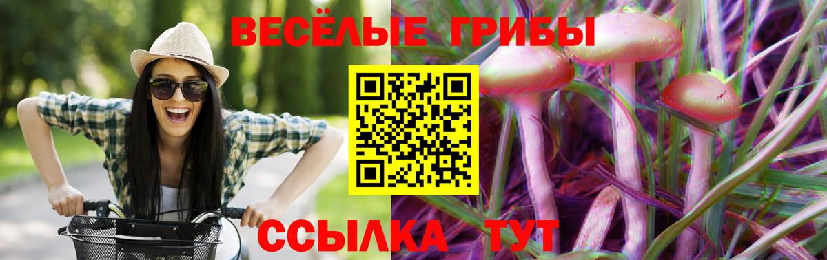 Псилоцибиновые грибы MAGIC MUSHROOMS  Вход с VPN  купить наркоту  Новомосковск 